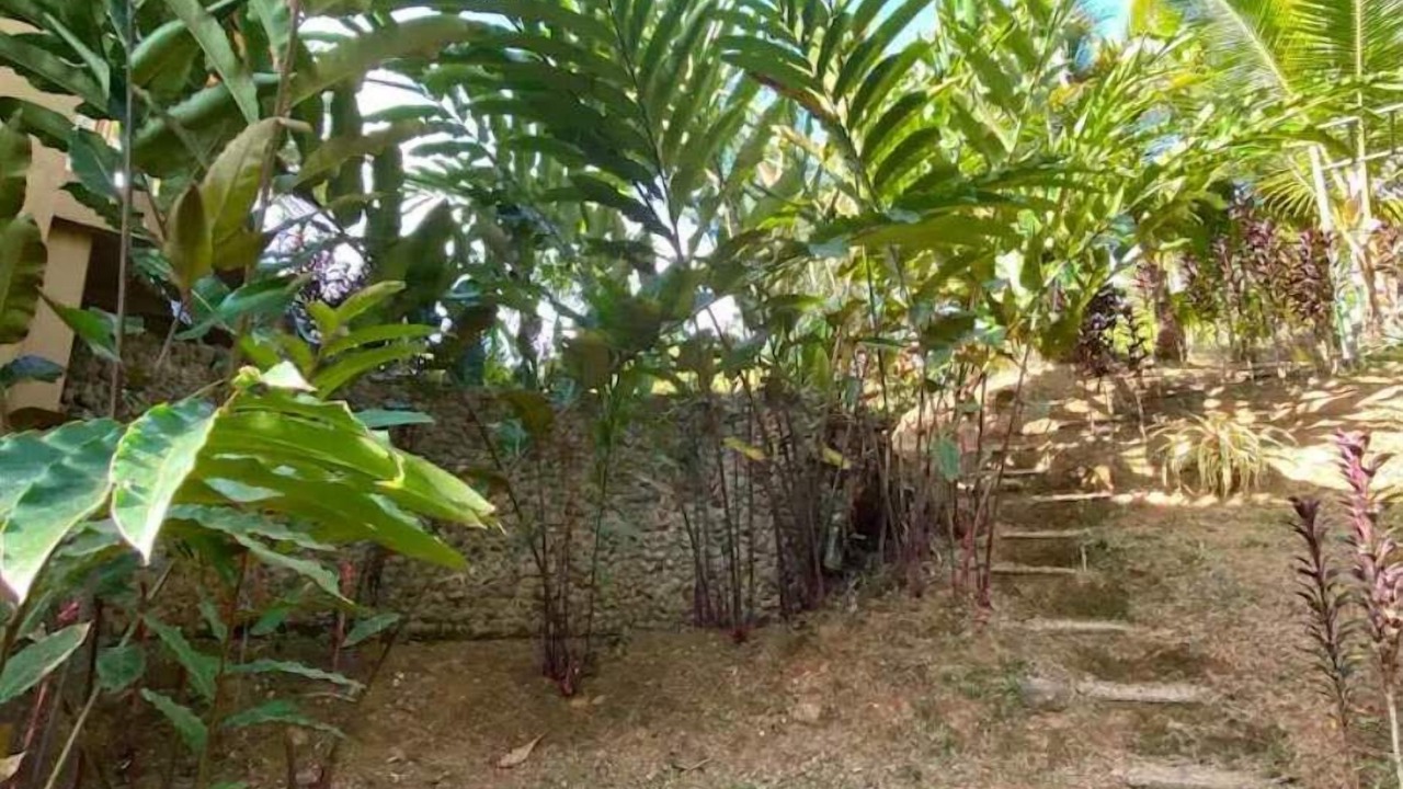 Photo of Outdoor in Tres Rios