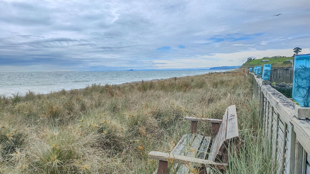 Photo of Outdoor in Pukehina
