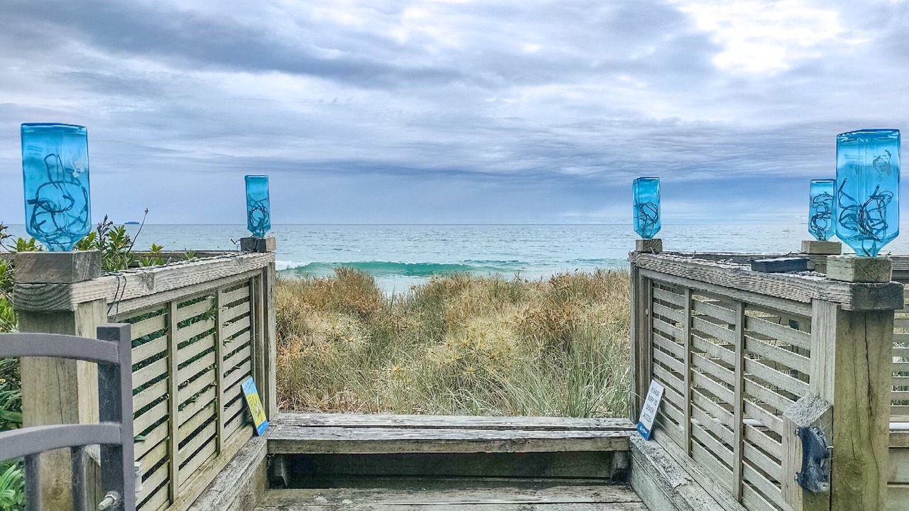 Photo of Outdoor in Pukehina