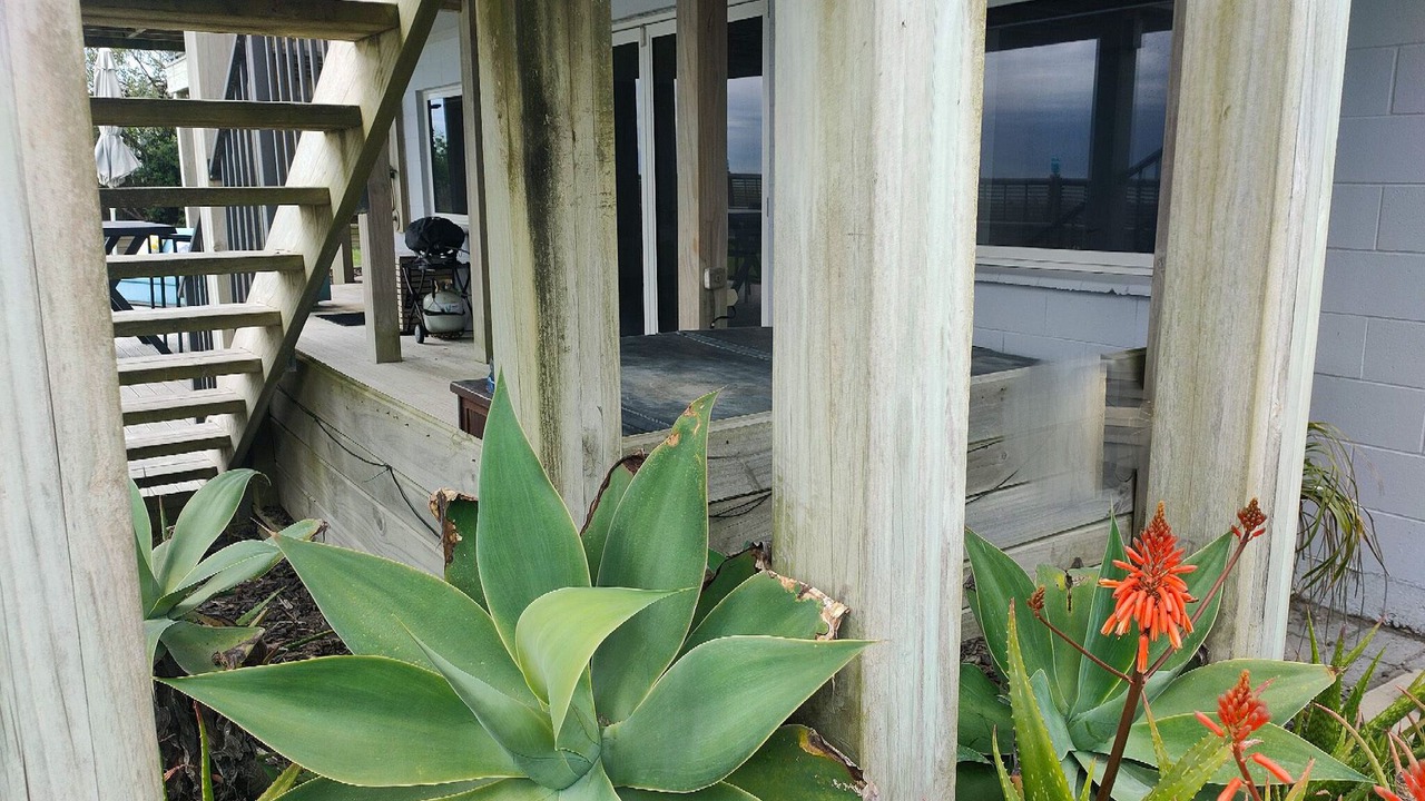 Photo of Outdoor in Pukehina