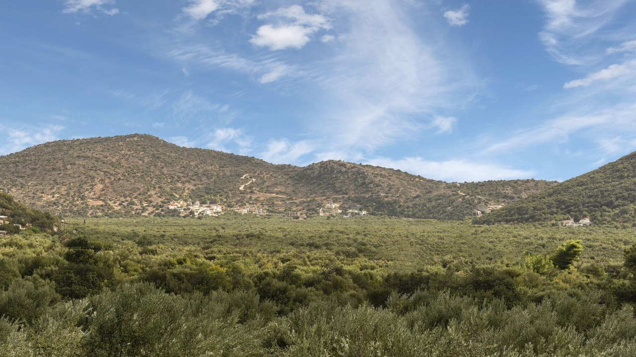 Photo of Outdoor in Flamouriana