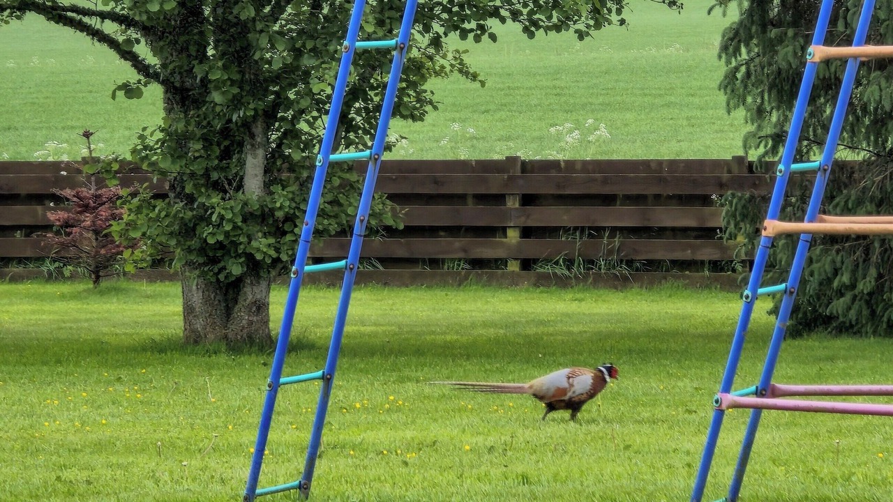 Photo of Others in Inverness