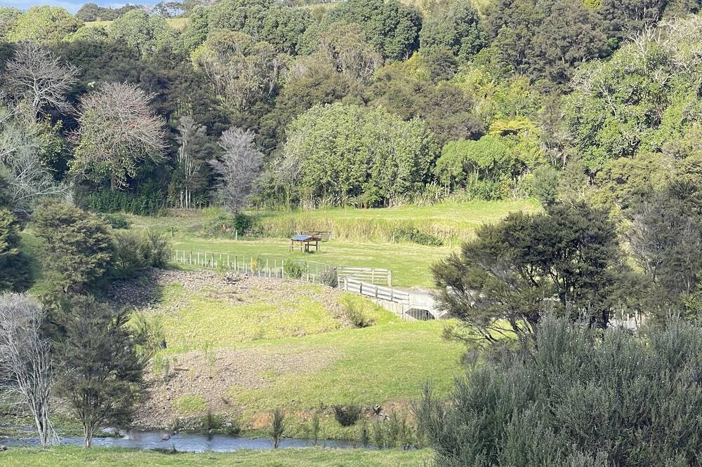 Photo of Others in Whakatiwai