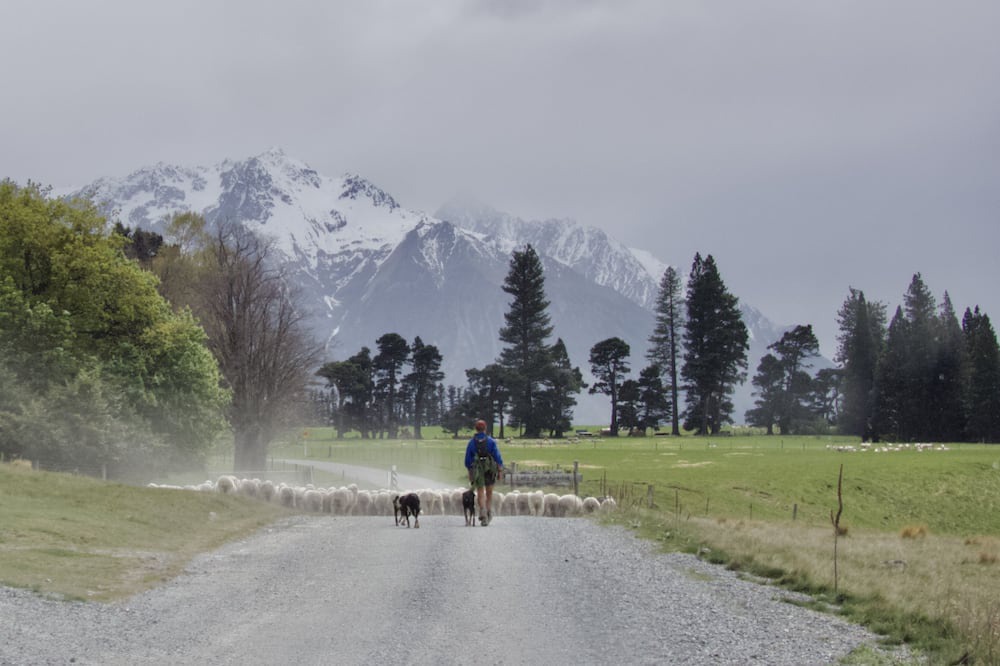 Photo of Others in Ohau