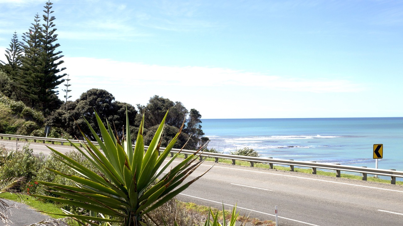 Photo of Others in Gisborne
