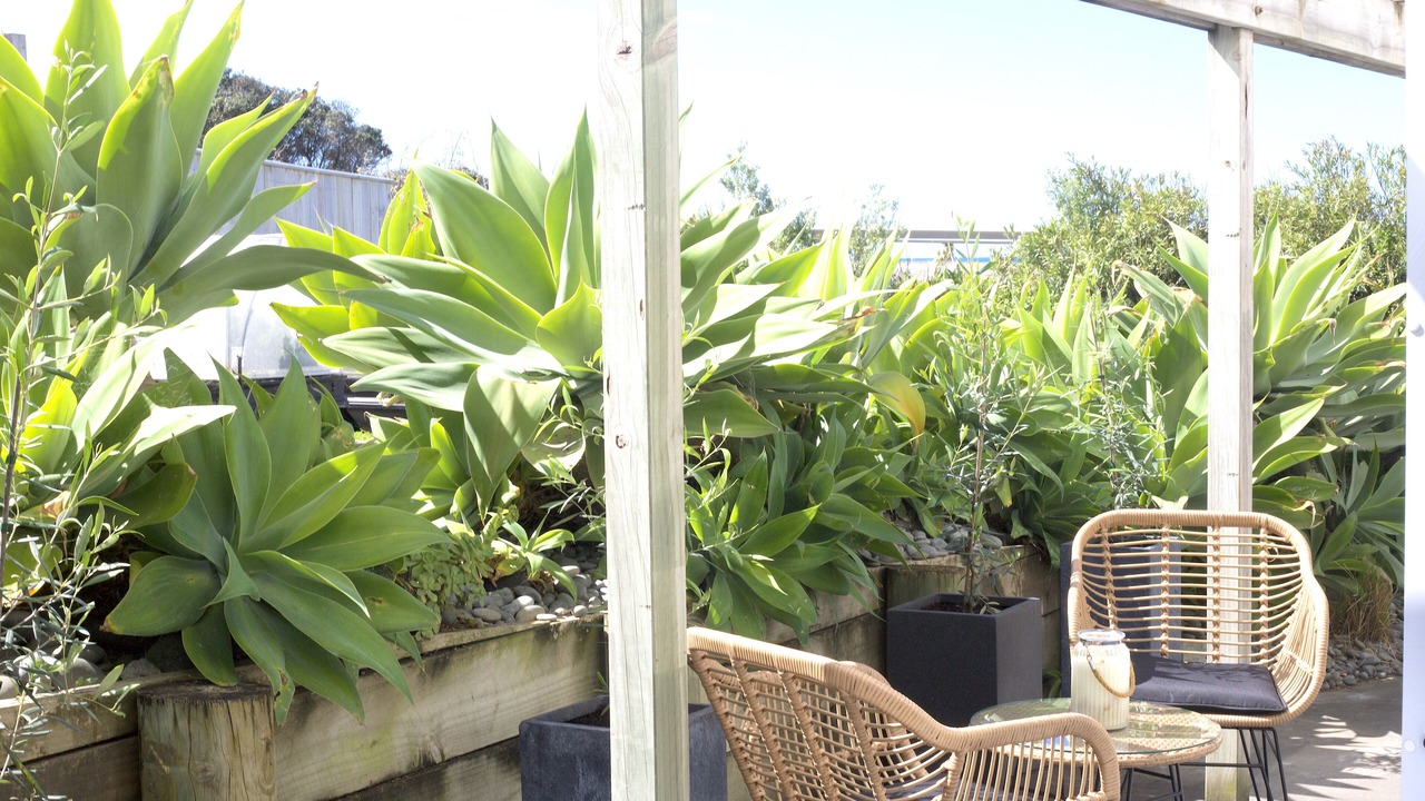 Photo of Outdoor in Gisborne