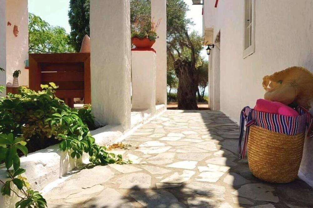 Photo of Outdoor in Kampos Marathokampou