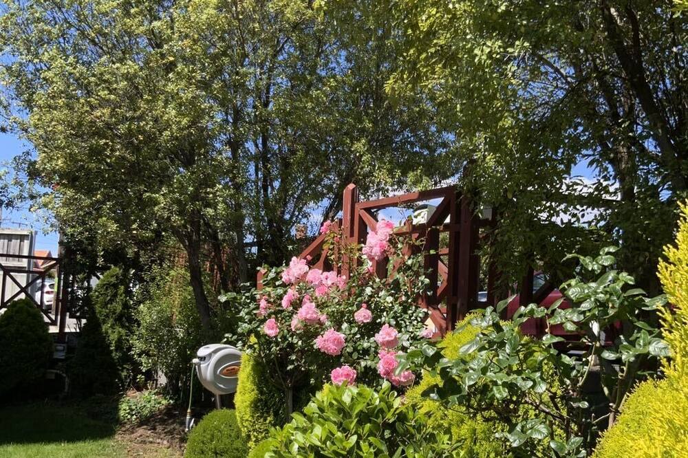 Photo of Outdoor in North Hobart
