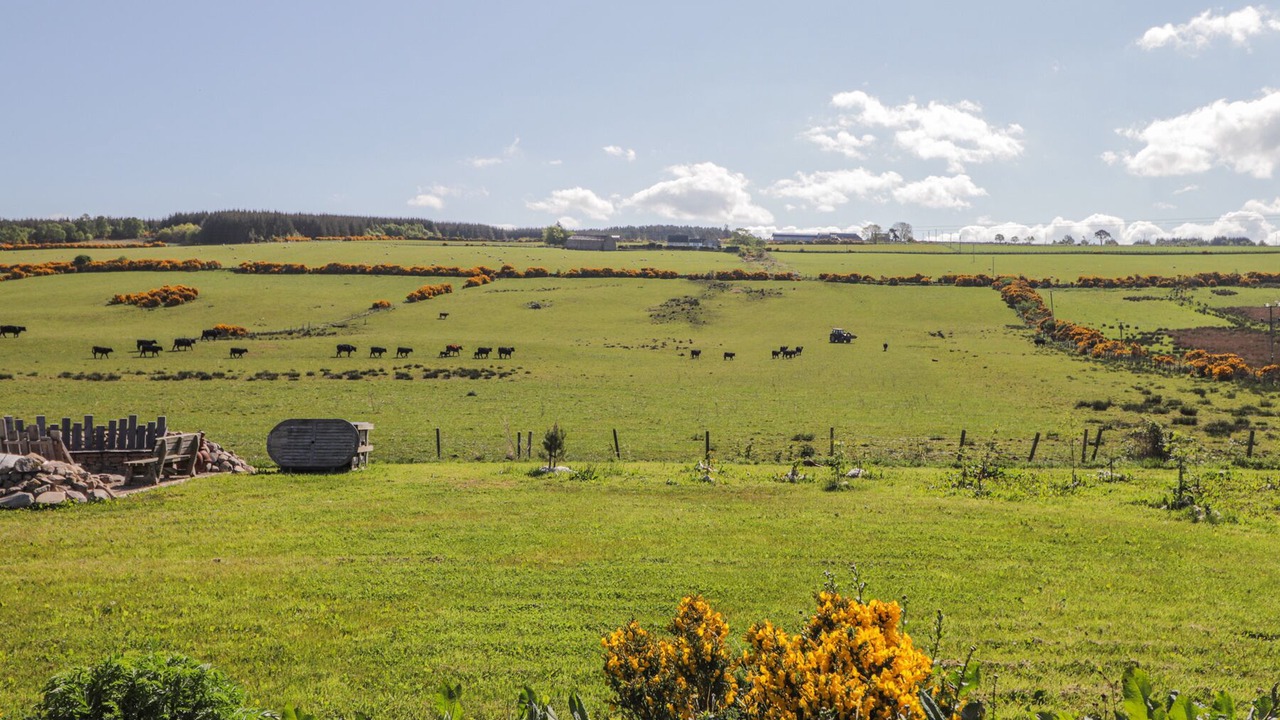 Photo of Others in Forres