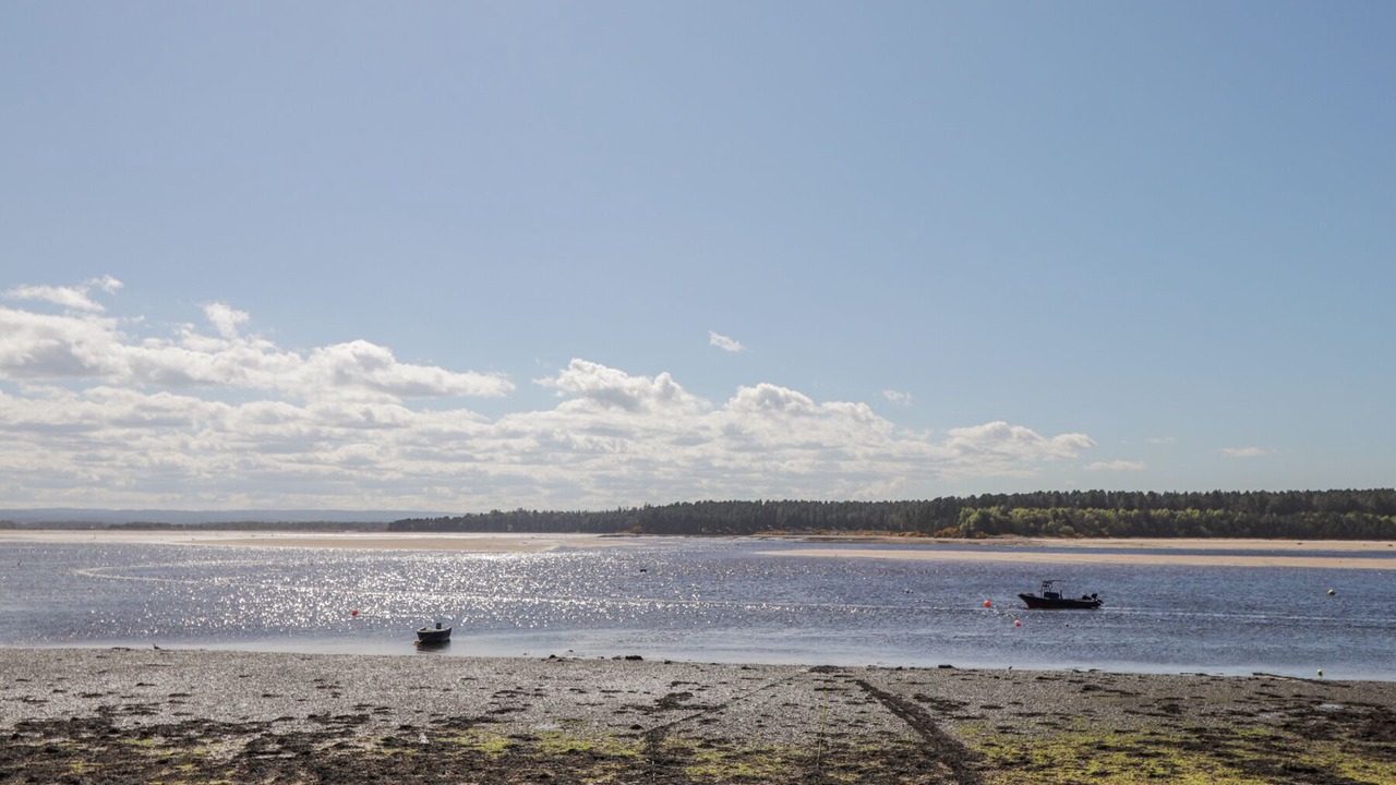 Photo of Others in Forres