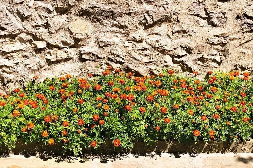 Photo of Outdoor in Asprangeloi