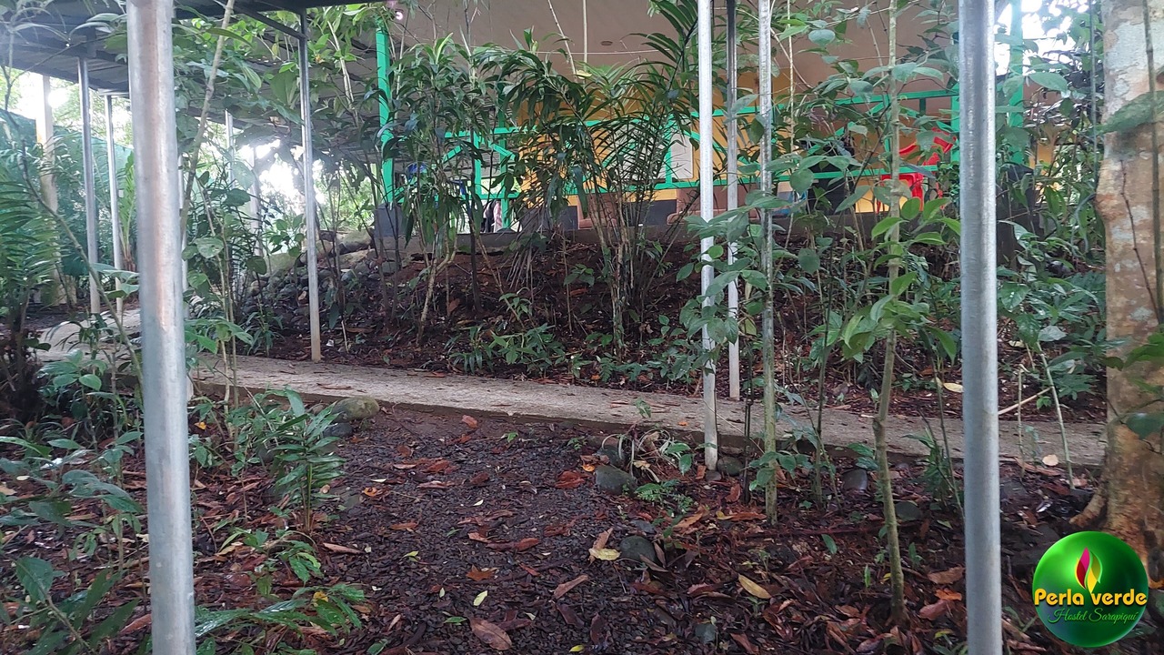 Photo of Outdoor in Heredia