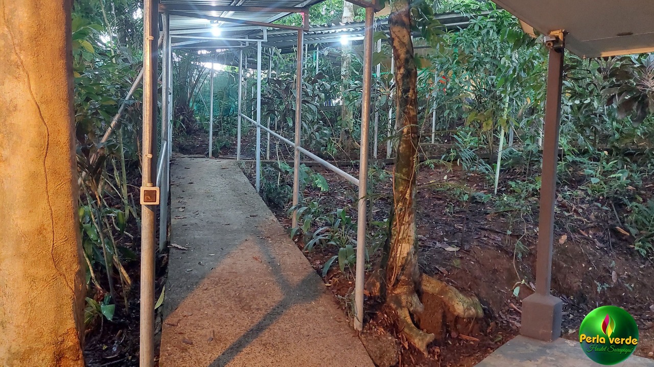 Photo of Outdoor in Heredia