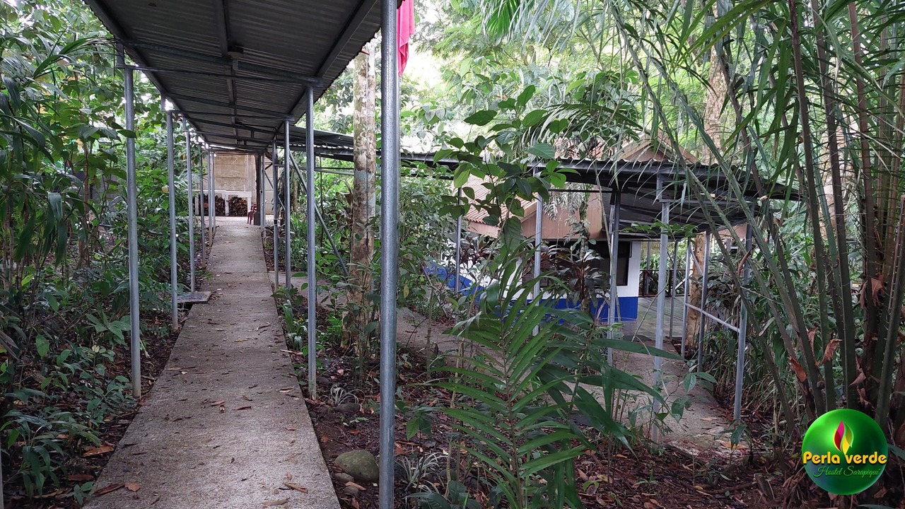 Photo of Outdoor in Heredia