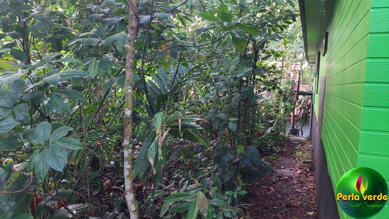 Photo of Outdoor in Heredia