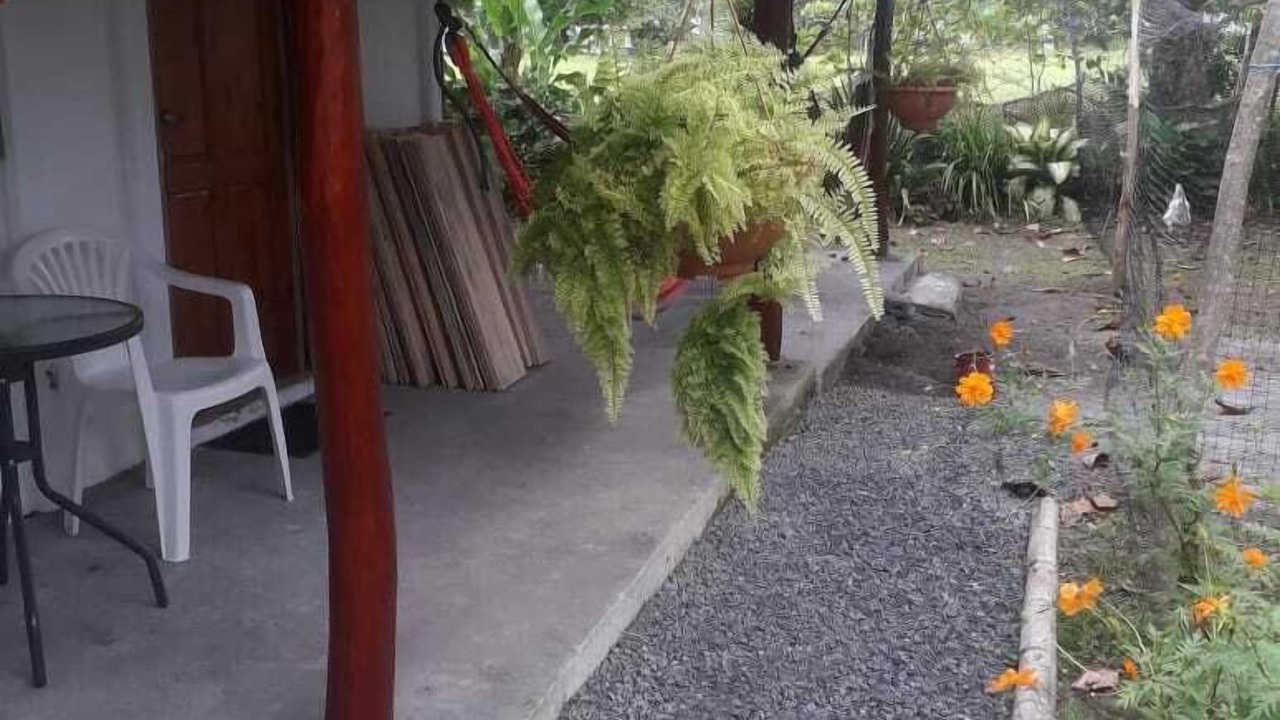 Photo of Outdoor in Parismina
