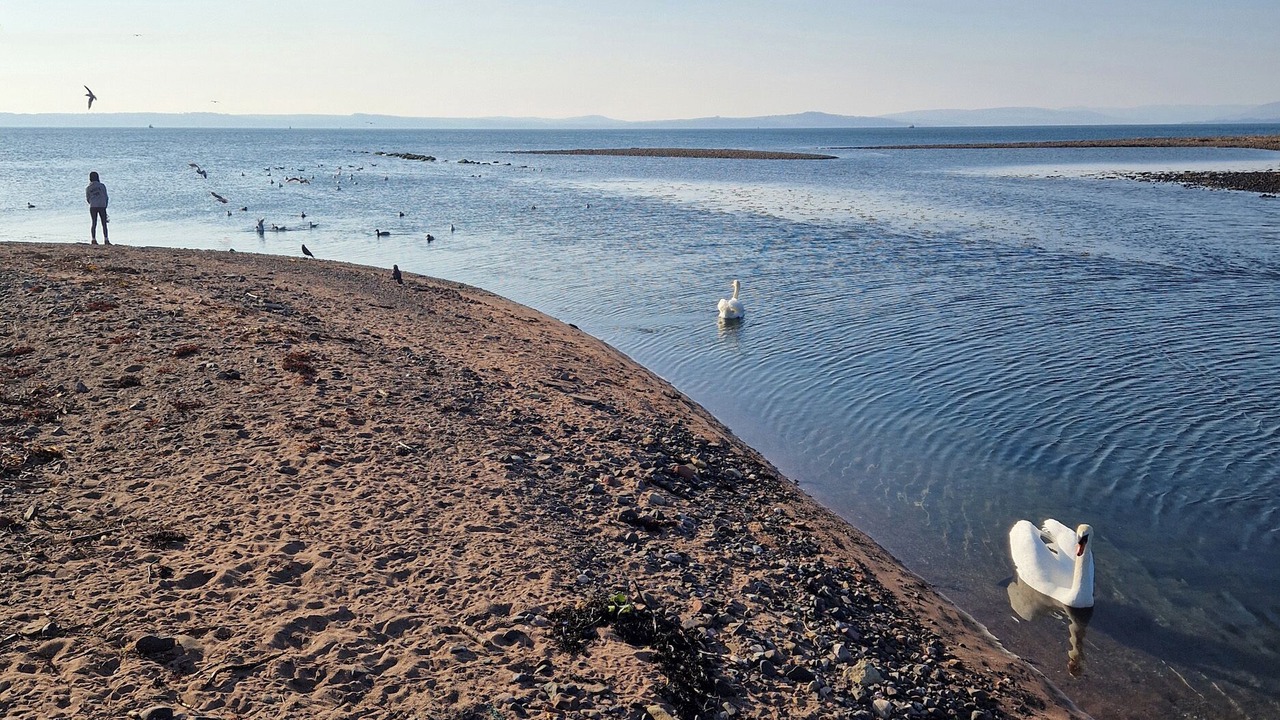 Photo of Others in Largs