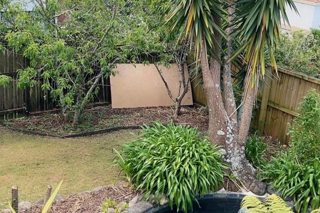 Photo of Outdoor in Auckland