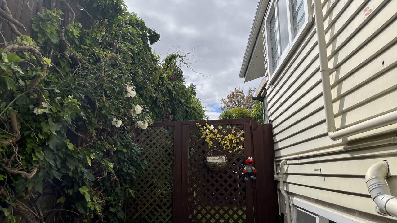 Photo of Outdoor in Auckland