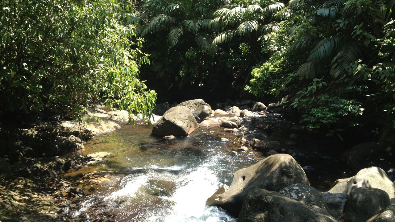 Photo of Others in La Palmeria