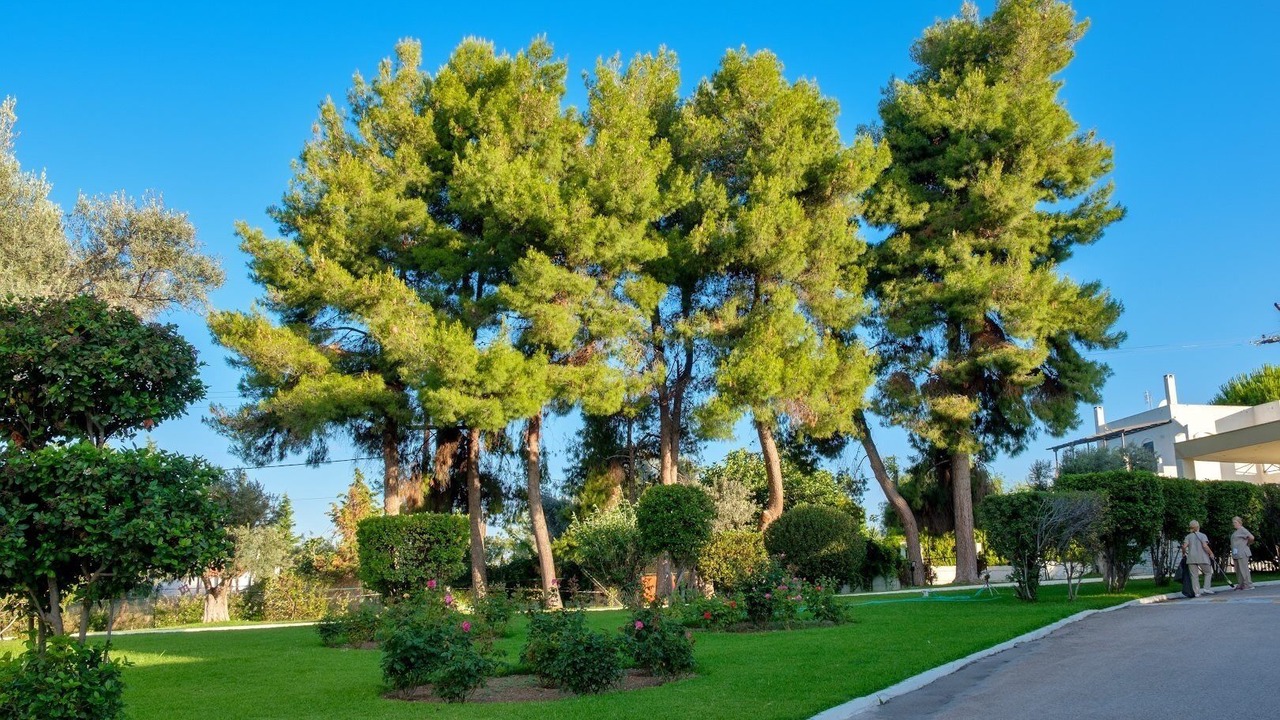 Photo of Outdoor in Malakonta