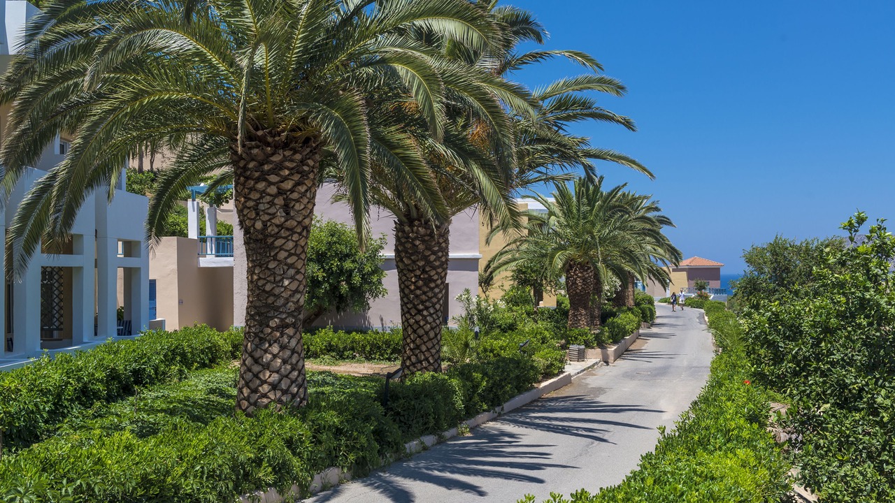Photo of Buildings in Fodele
