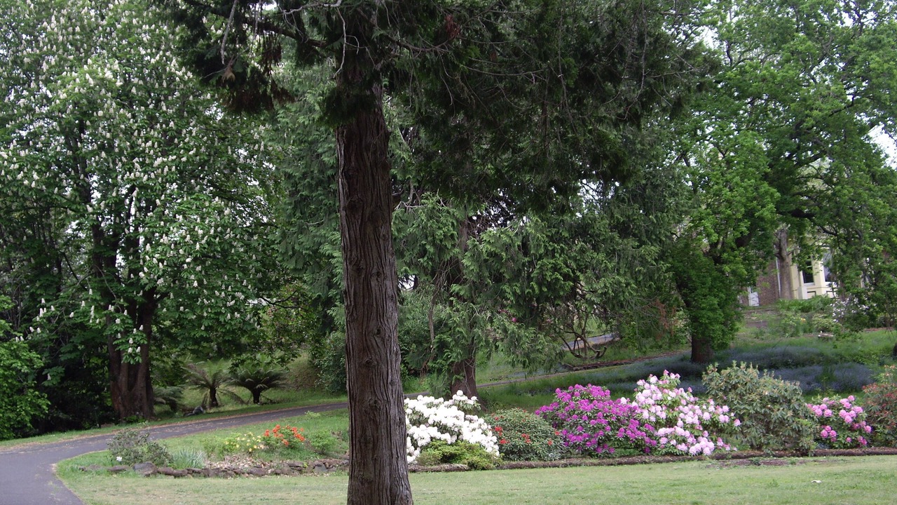 Photo of Outdoor in Latrobe