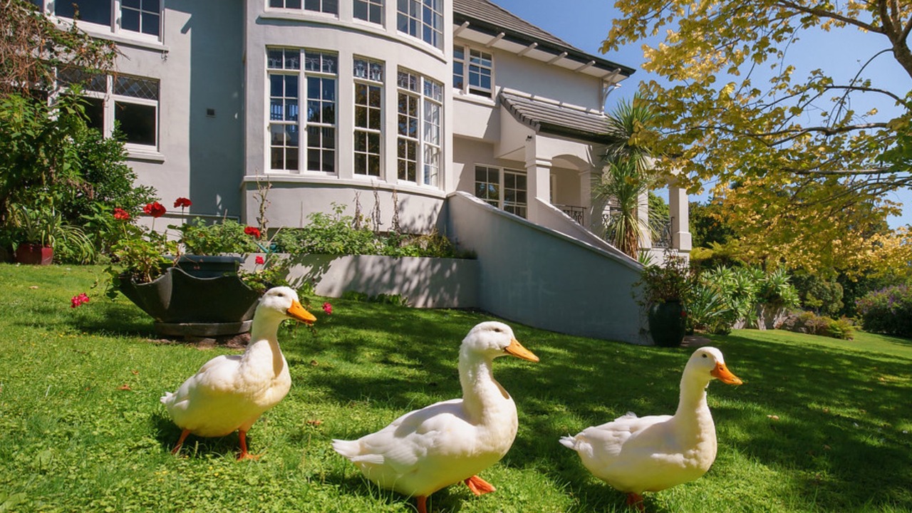 Photo of Outdoor in Paraparaumu