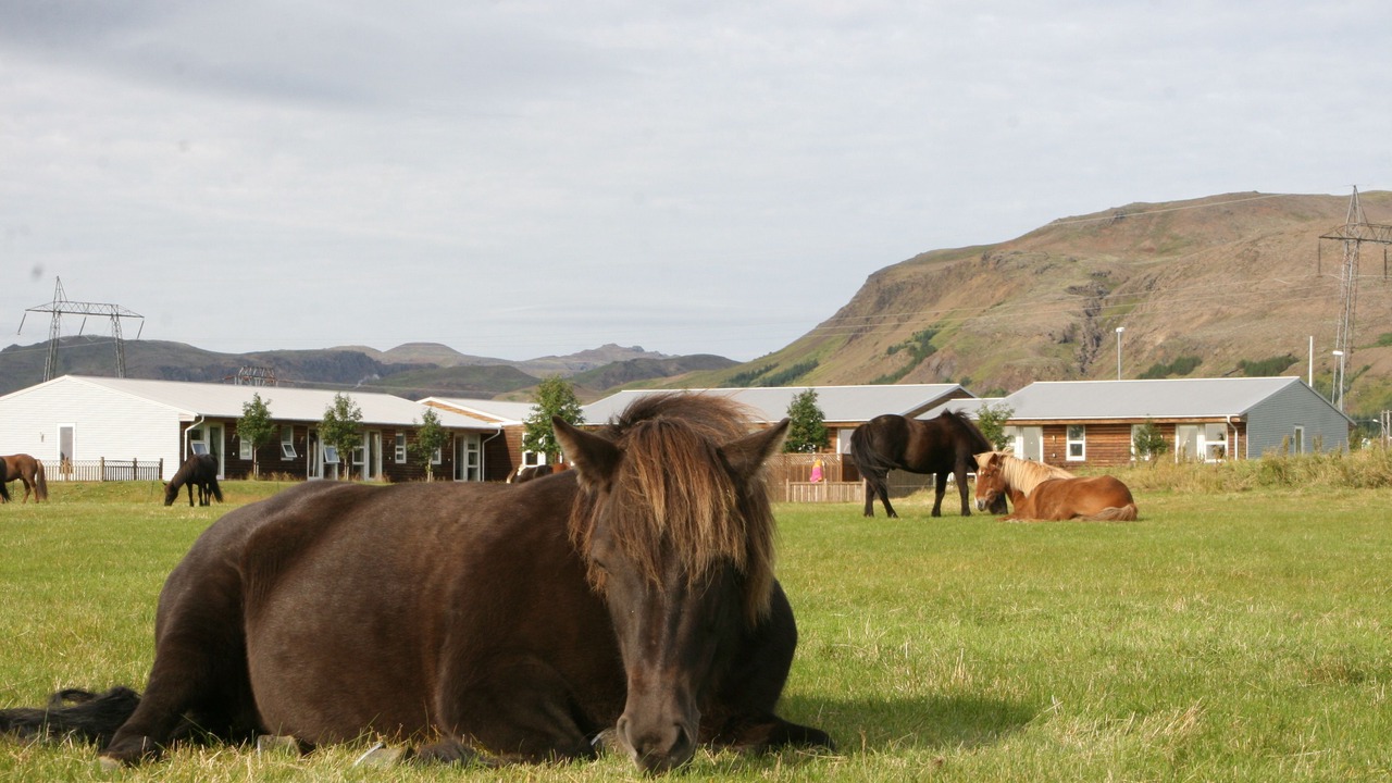 Photo of Outdoor in Sveitarfelagid Olfus