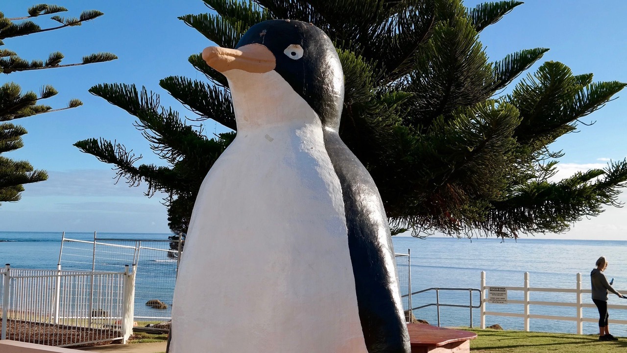 Photo of Others in Ulverstone