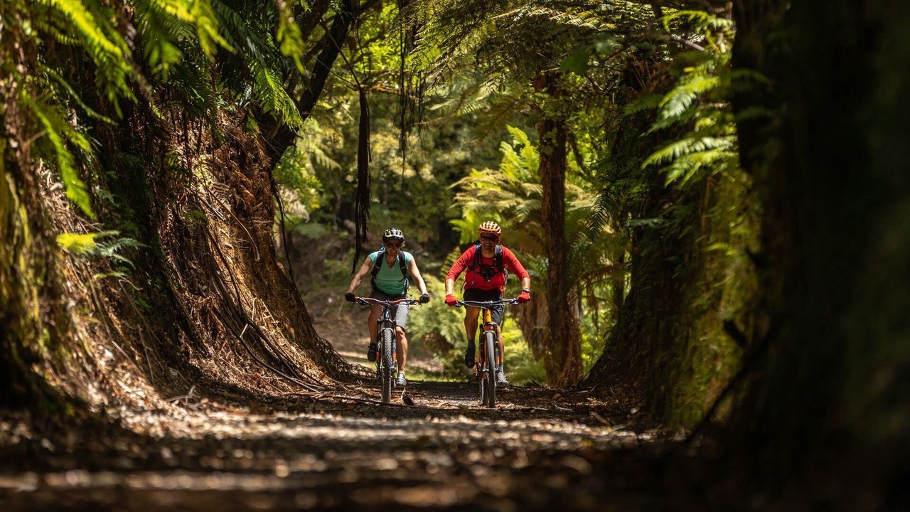 Photo of Outdoor in Taumarunui