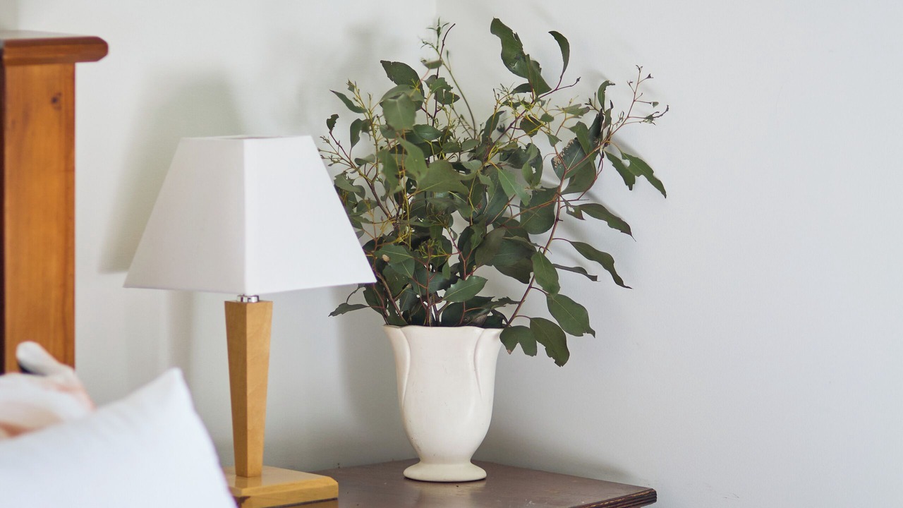 Photo of Others in Longford