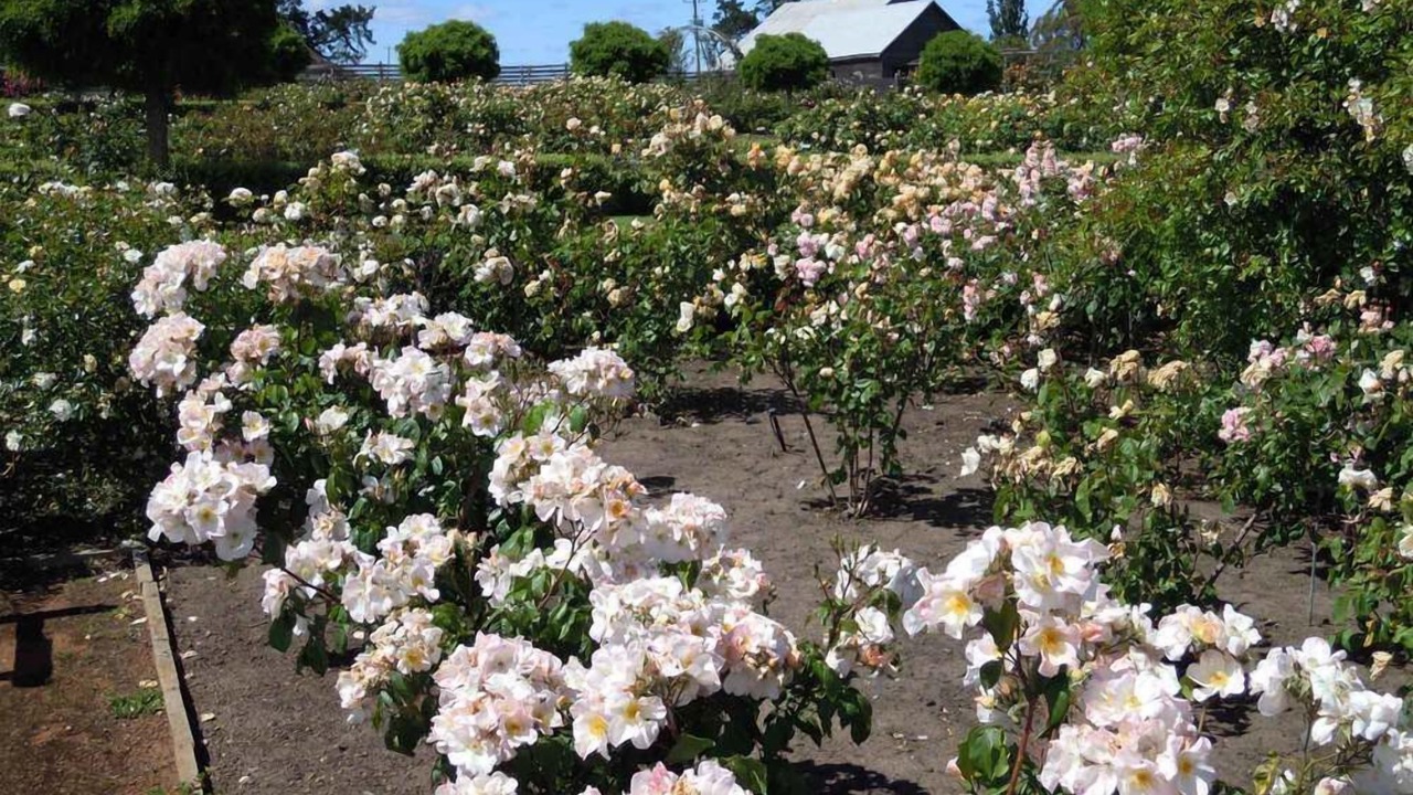 Photo of Outdoor in Longford