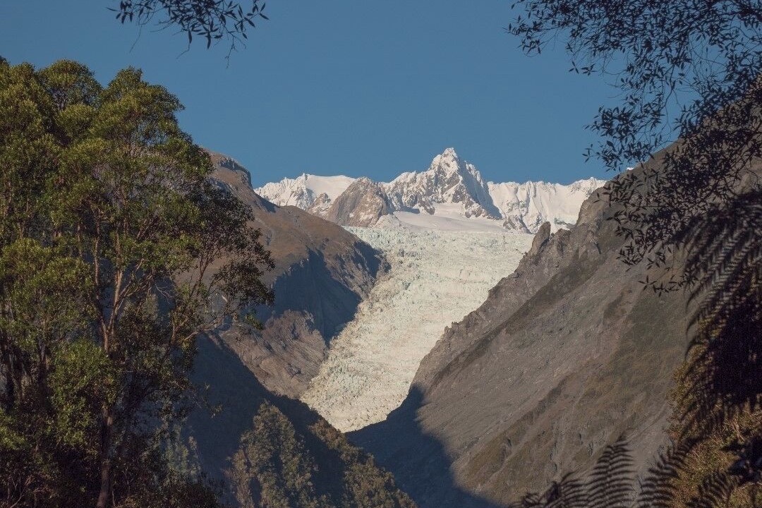 Photo of Others in Fox Glacier