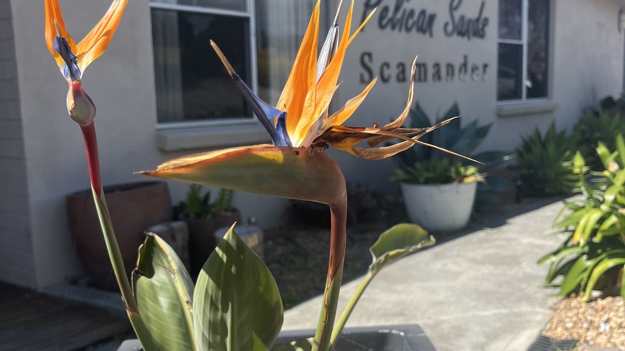 Photo of Outdoor in Scamander