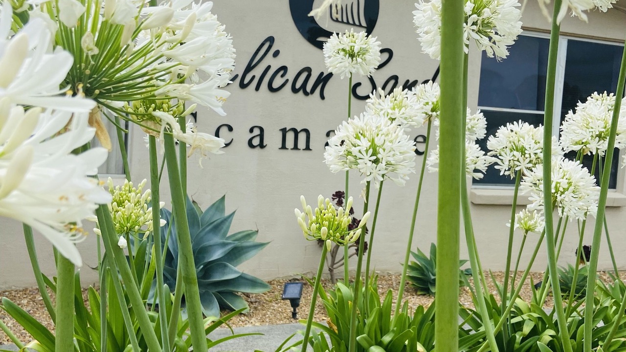 Photo of Outdoor in Scamander