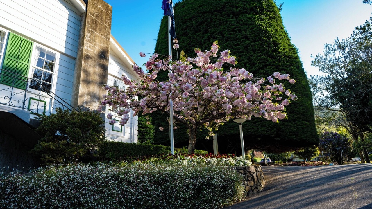 Photo of Outdoor in Tawa