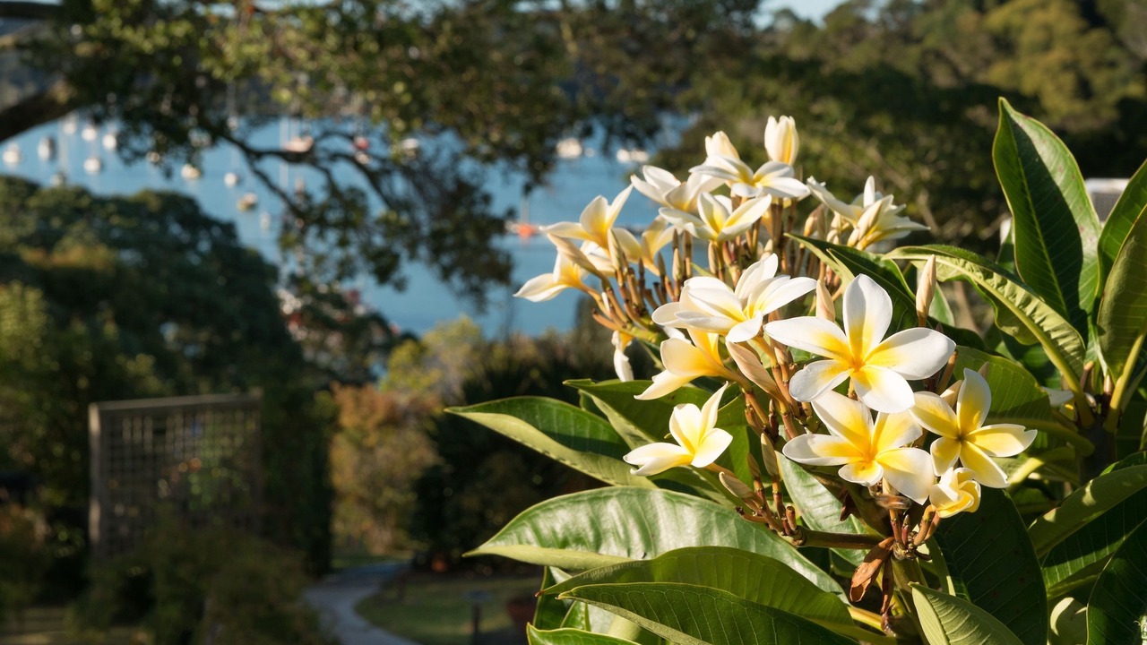 Photo of Outdoor in Russell