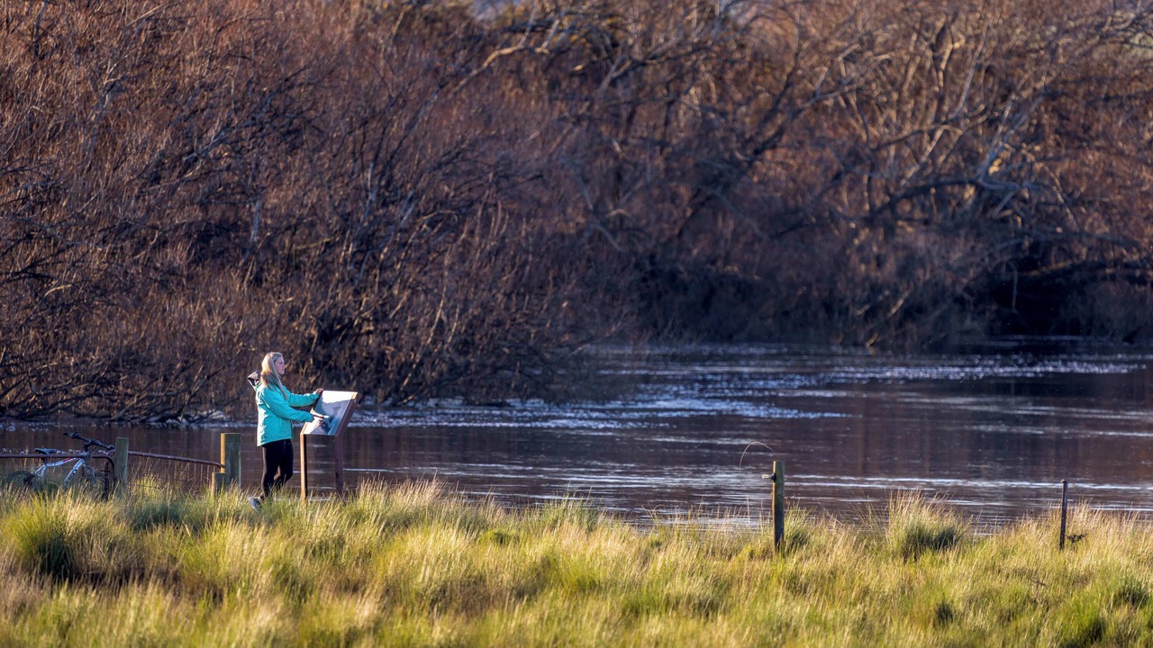 Photo of Outdoor in Longford