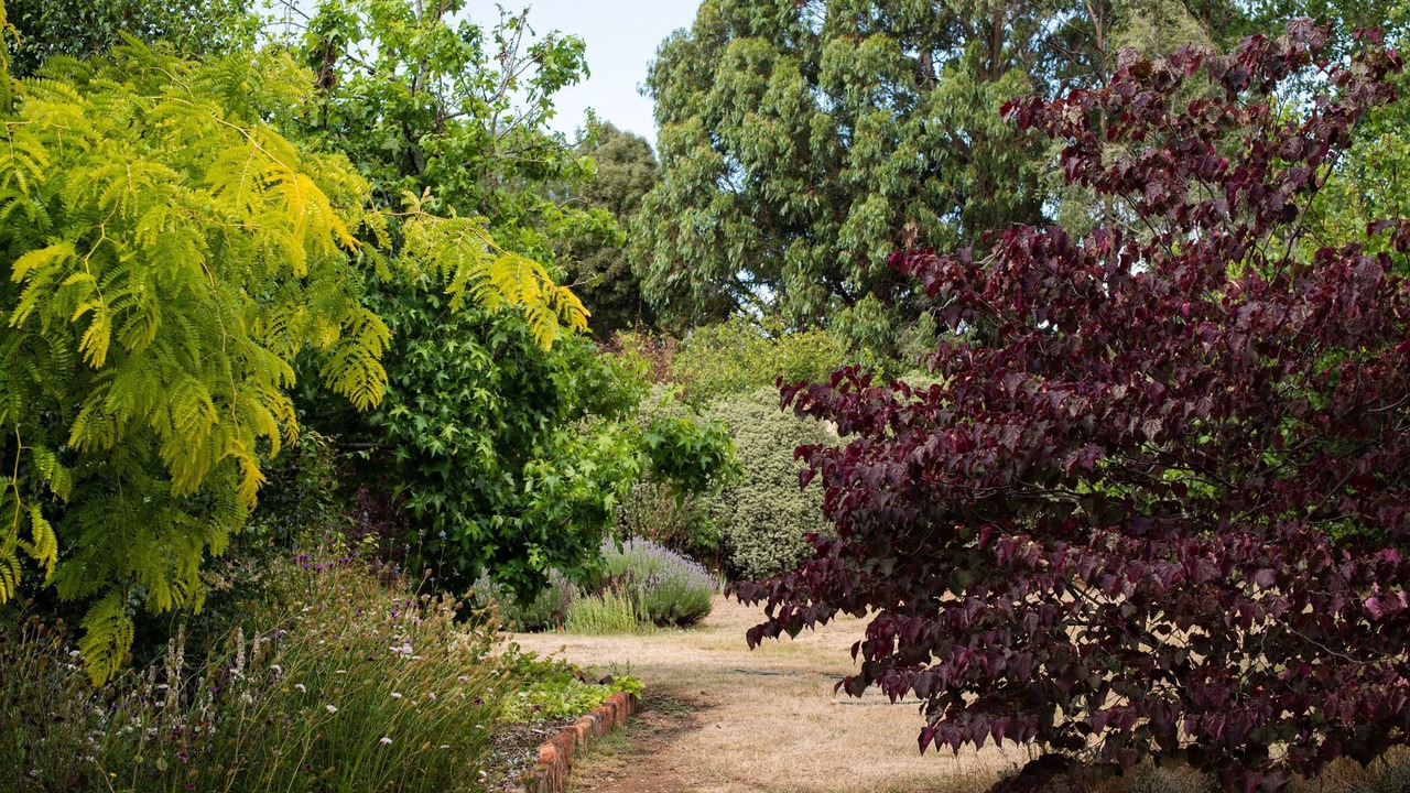 Photo of Outdoor in Westbury