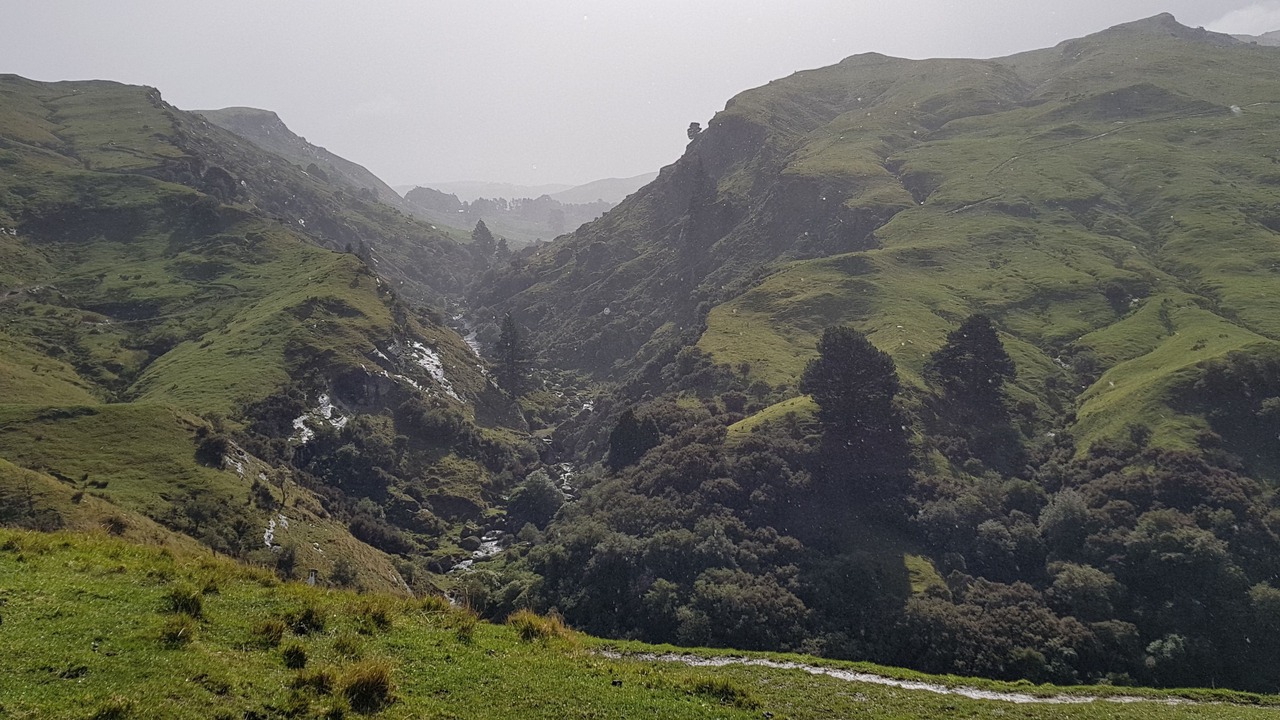 Photo of Others in Te Karaka
