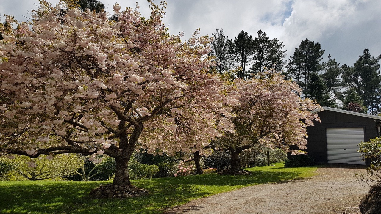 Photo of Outdoor in Te Karaka