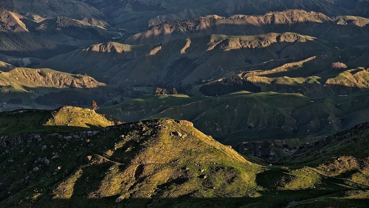 Photo of Outdoor in Te Karaka
