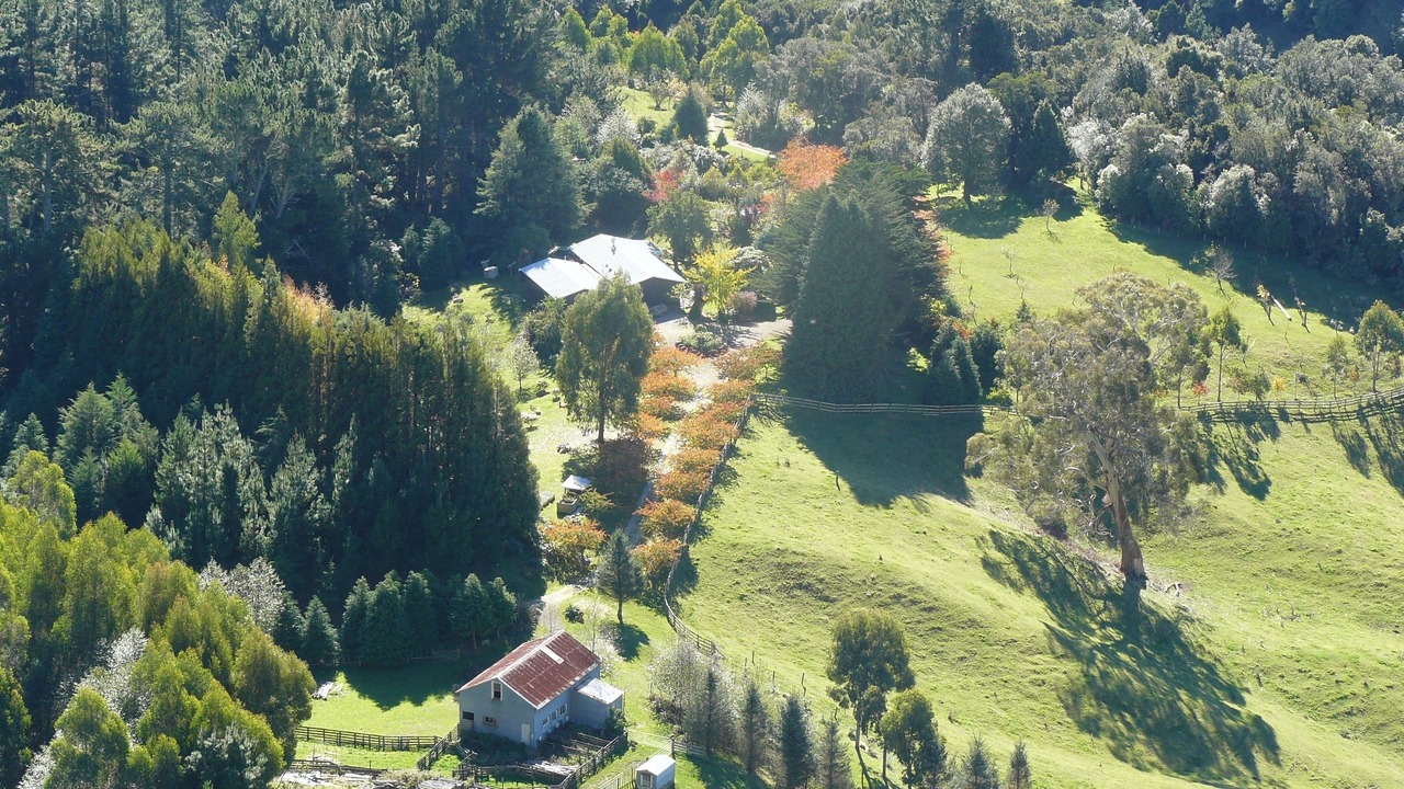 Photo of Outdoor in Te Karaka