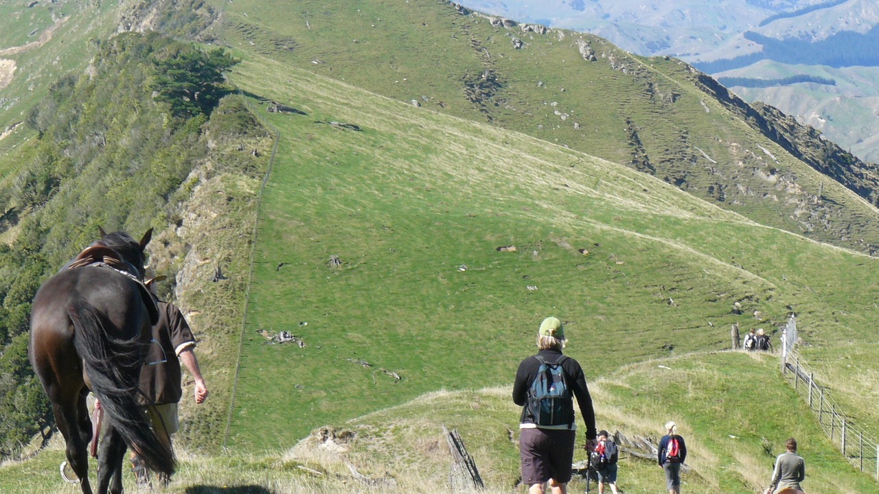 Photo of Outdoor in Te Karaka