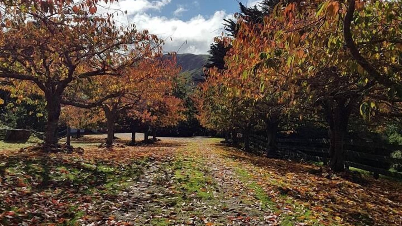 Photo of Outdoor in Te Karaka
