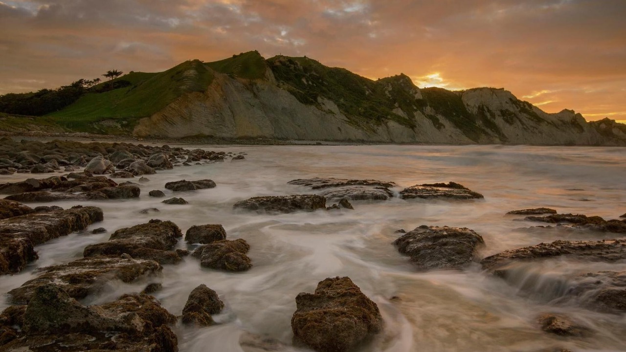 Photo of Others in Gisborne
