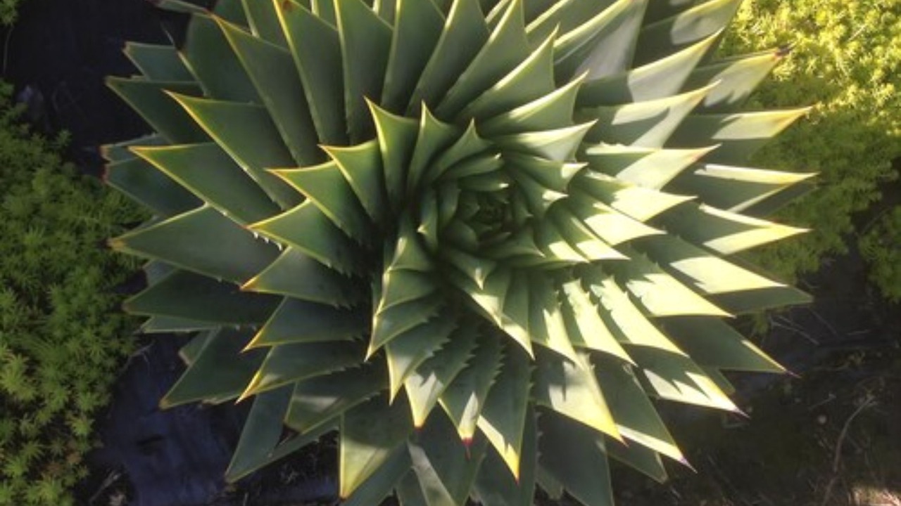 Photo of Outdoor in Gisborne