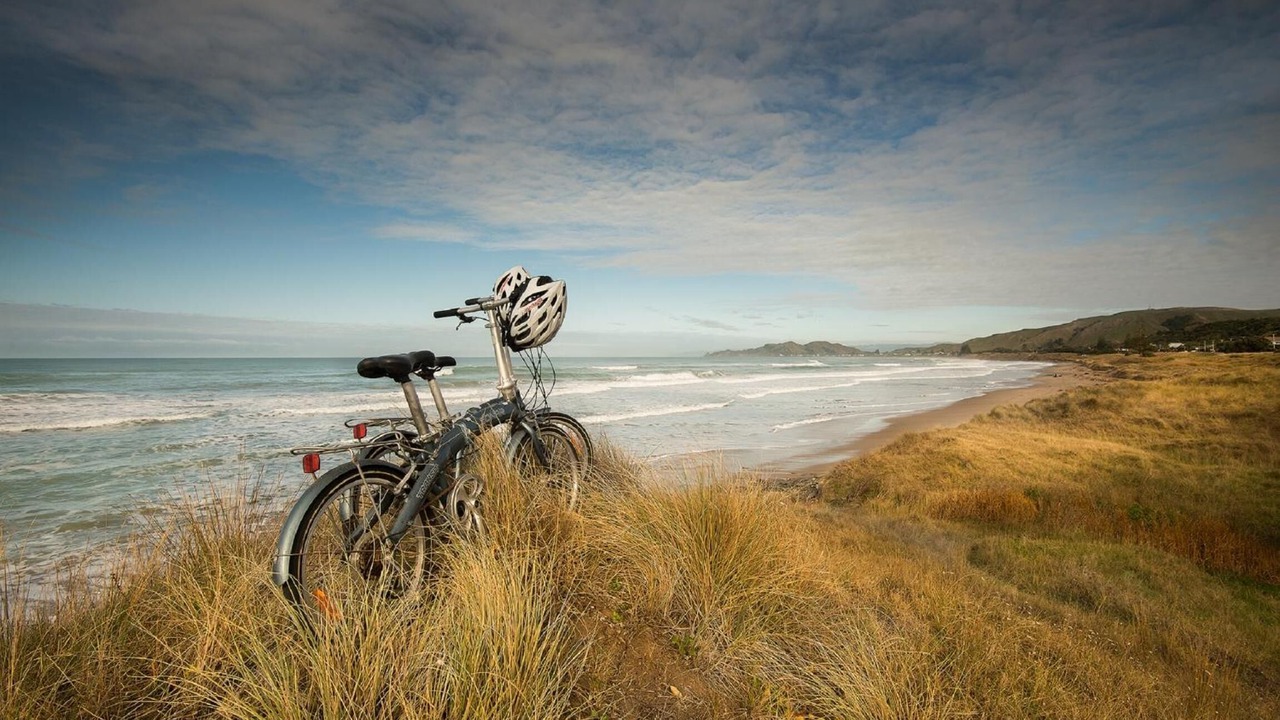 Photo of Others in Gisborne
