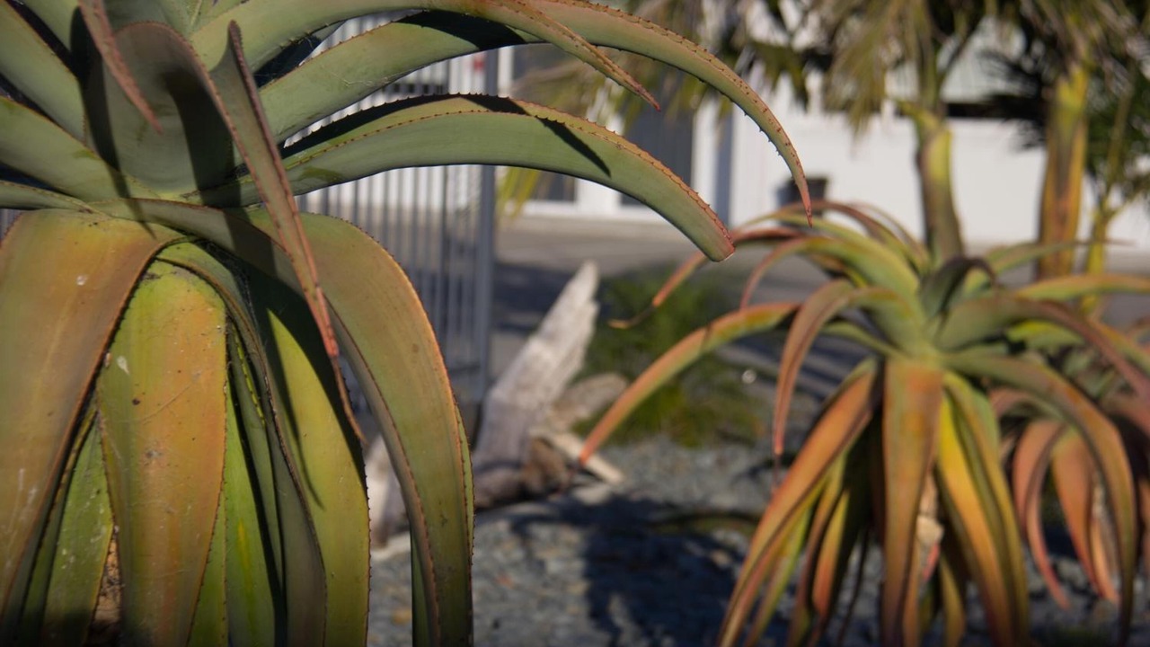 Photo of Outdoor in Gisborne